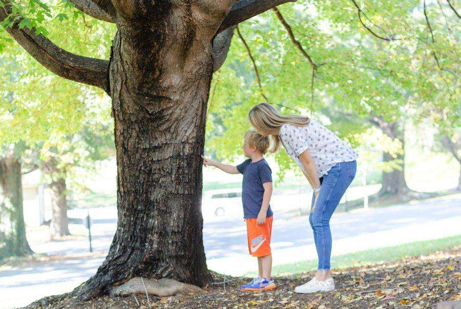 Therapist Charlottesville VA. Therapist Raleigh NC. Woman and child looking at a tree